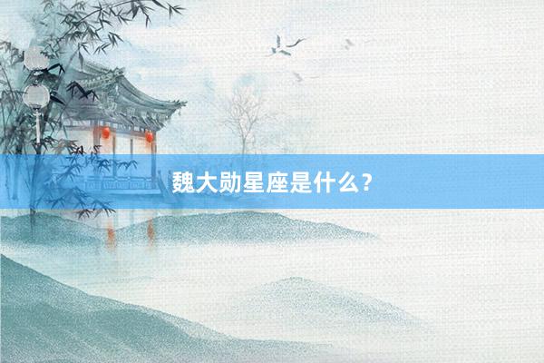 魏大勋星座是什么？